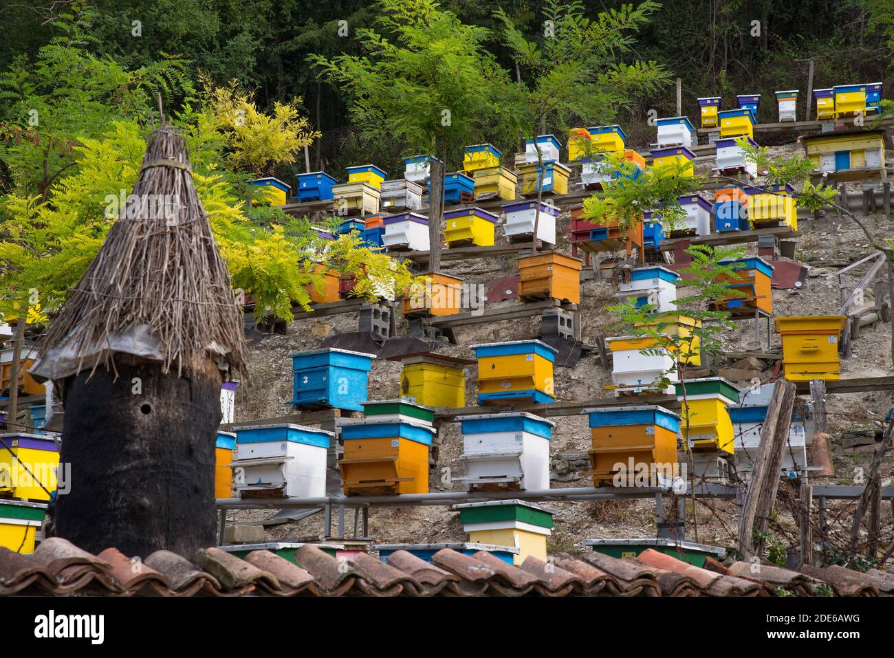 Bienenstöcke in Bienenhaus Stockfoto