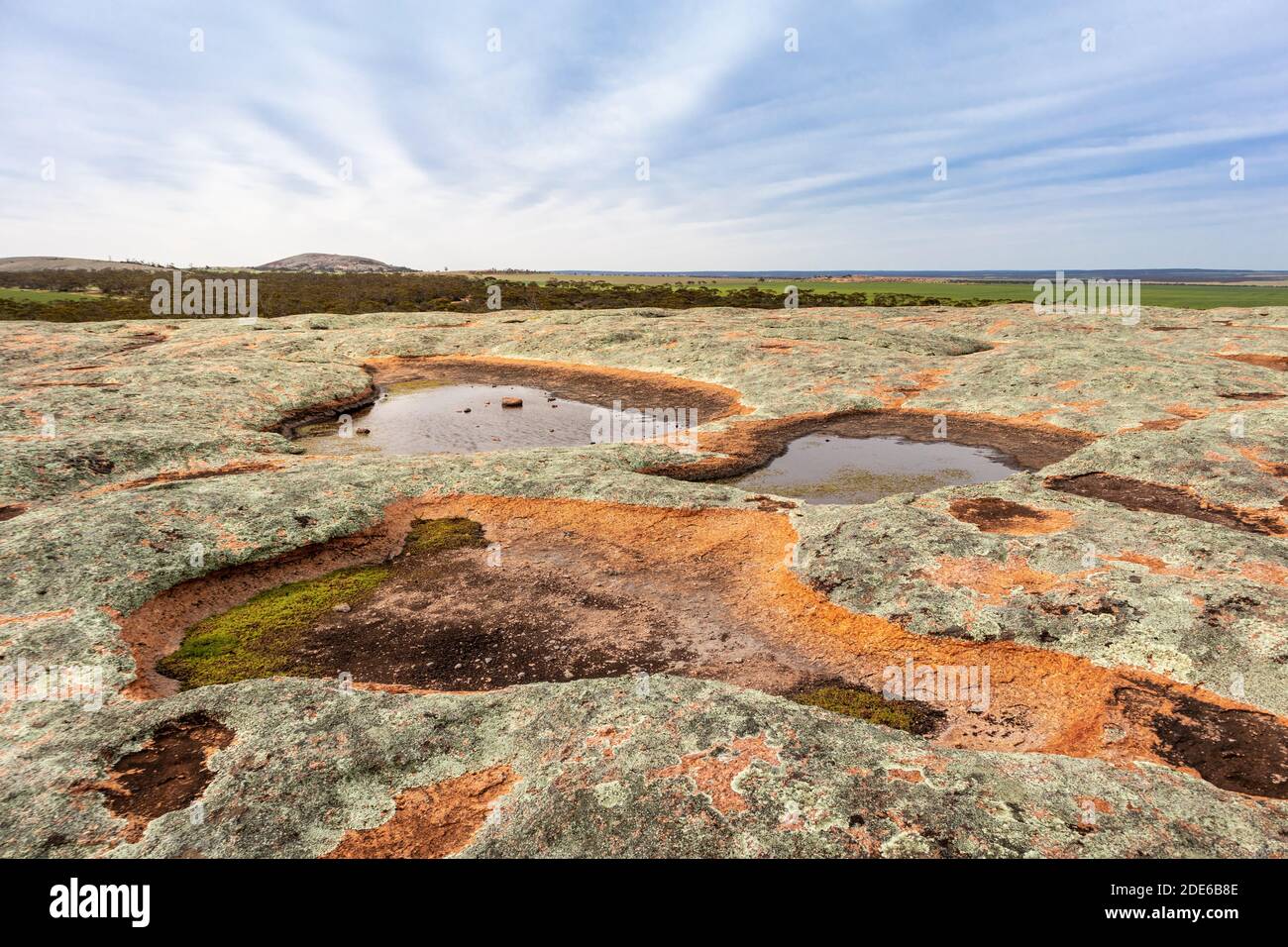 Wasserlöcher voller Regenwasser auf einem Granitfelsen. Die Aborigines verließen sich auf Felslöcher als Wasserquellen. Eyre Peninsula, Gawler Ranges nationa Stockfoto
