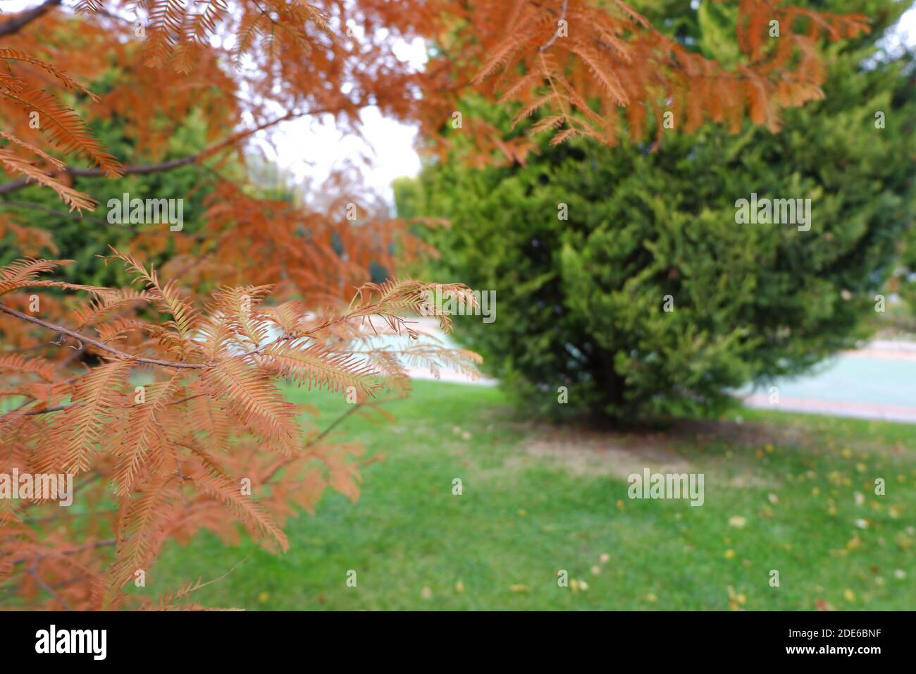 Blick vom Park im Herbst Stockfoto