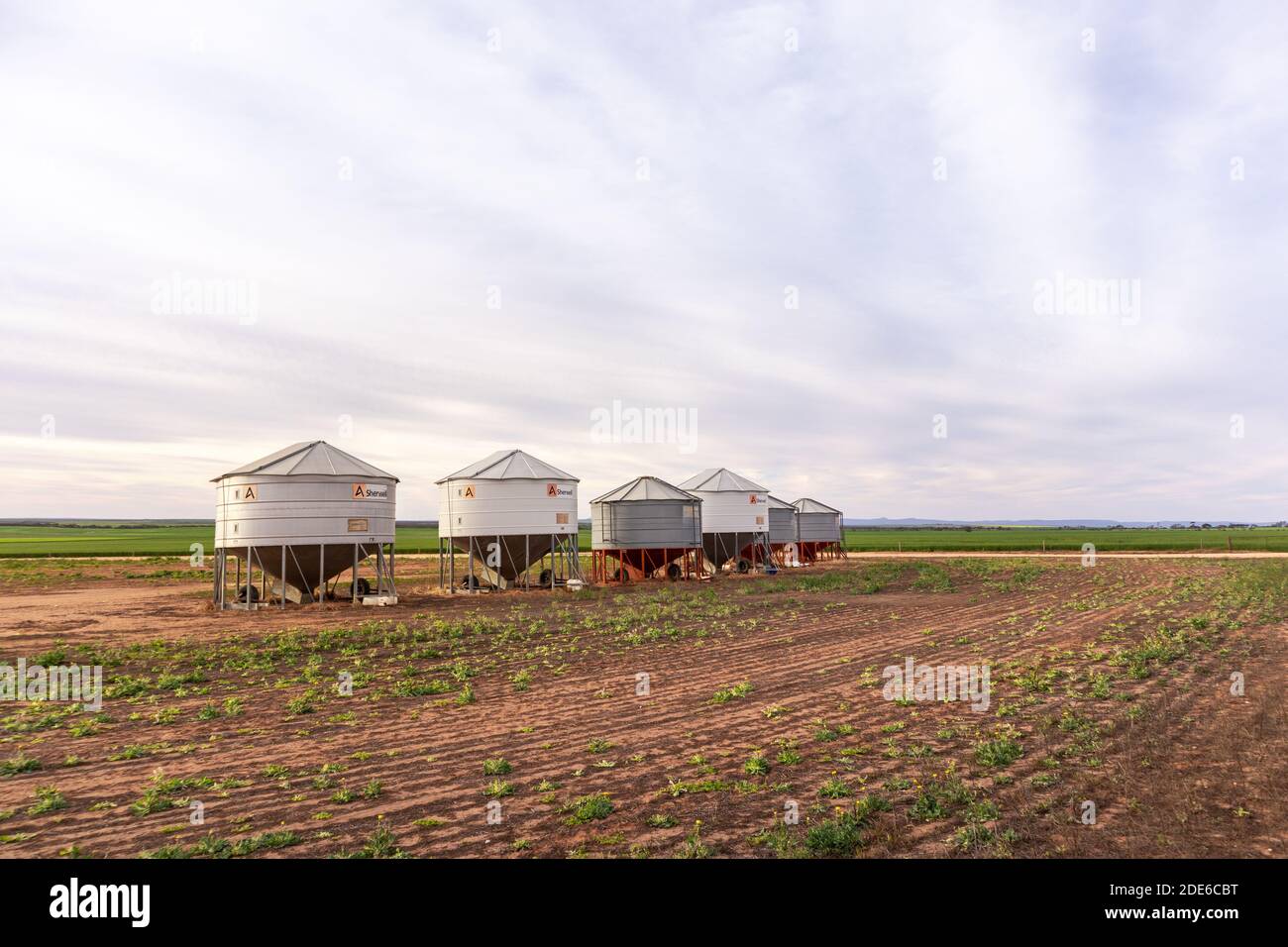 Australien; Aug 2020: Silos in einem Weizenfeld, verwendet, um Weizenkorn für landwirtschaftliche Zwecke auf dem Land zu speichern. Lagerhaus für Lebensmittelstaub Stockfoto