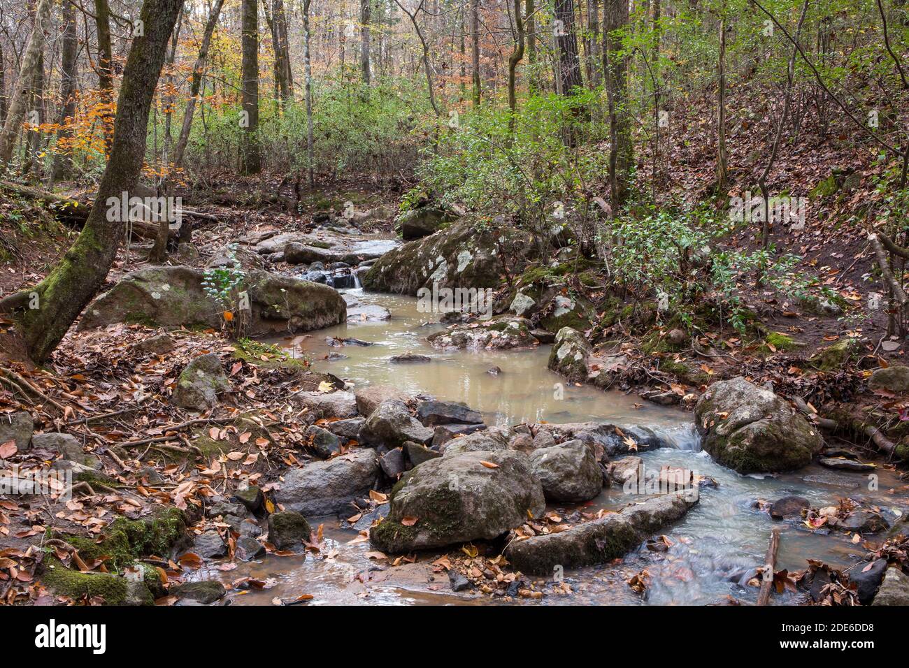 Ein felsiger Bach, der im Herbst durch einen Wald fließt. Stockfoto