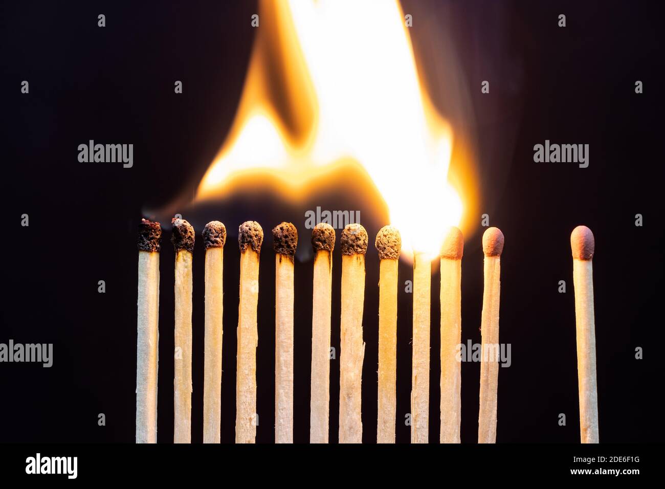 Brennende Matches auf schwarzem Hintergrund. Coronavirus Covid-19 Ausbruch und soziale Distanzierung Konzept. Stoppen Sie die Ausbreitung der Pandemie Stockfoto