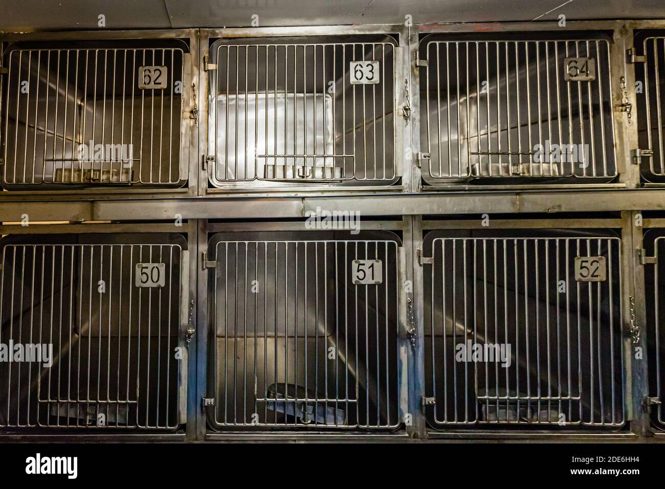 Ausgewiesener Unterkunftsbereich für Haustiere auf einem Schiff. Dieser Bereich befindet sich in der Garage des Schiffes, und die Besitzer können ihre Haustiere mit Begleitung der Besatzung zu bestimmten Zeiten besuchen. Fähre Pont Aven of Brittany Ferries in Roscoff, Frankreich Stockfoto