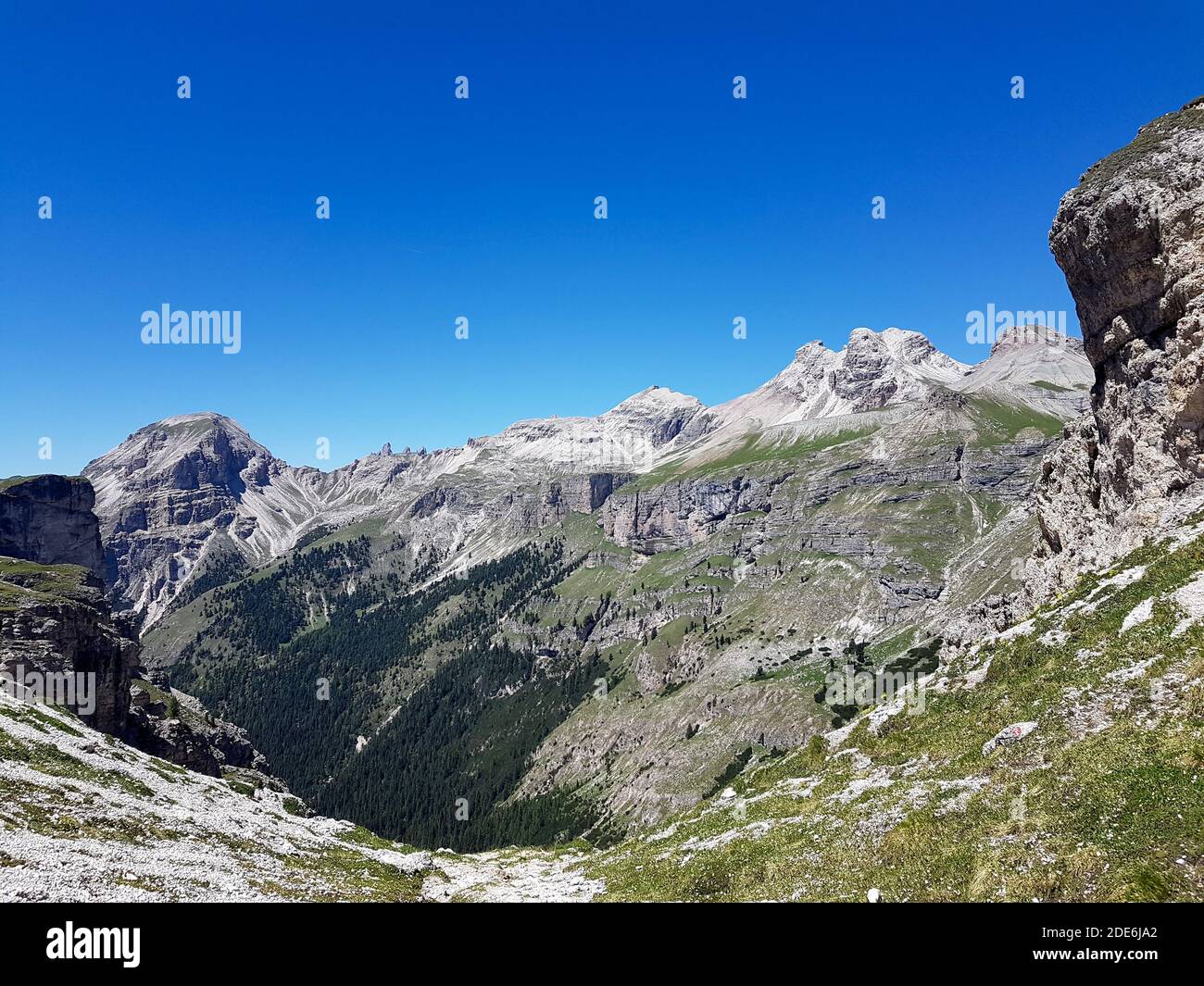 Alpen Berge mit schöner Aussicht auf den Wald im Grünen Tal in tirol Stockfoto