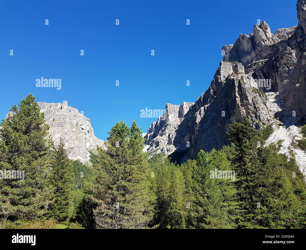 Grüner Talwald in den alpen mit schöner Aussicht auf die Berge In tirol Stockfoto