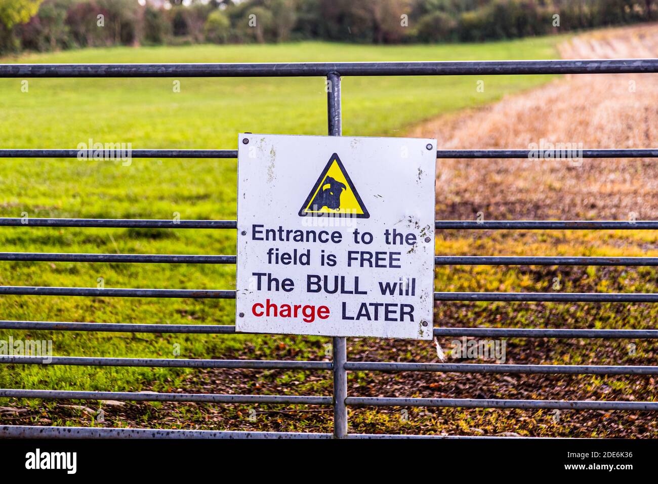 Warnung vor dem Tor einer Stierweide in Ballymoney, Nordirland Stockfoto