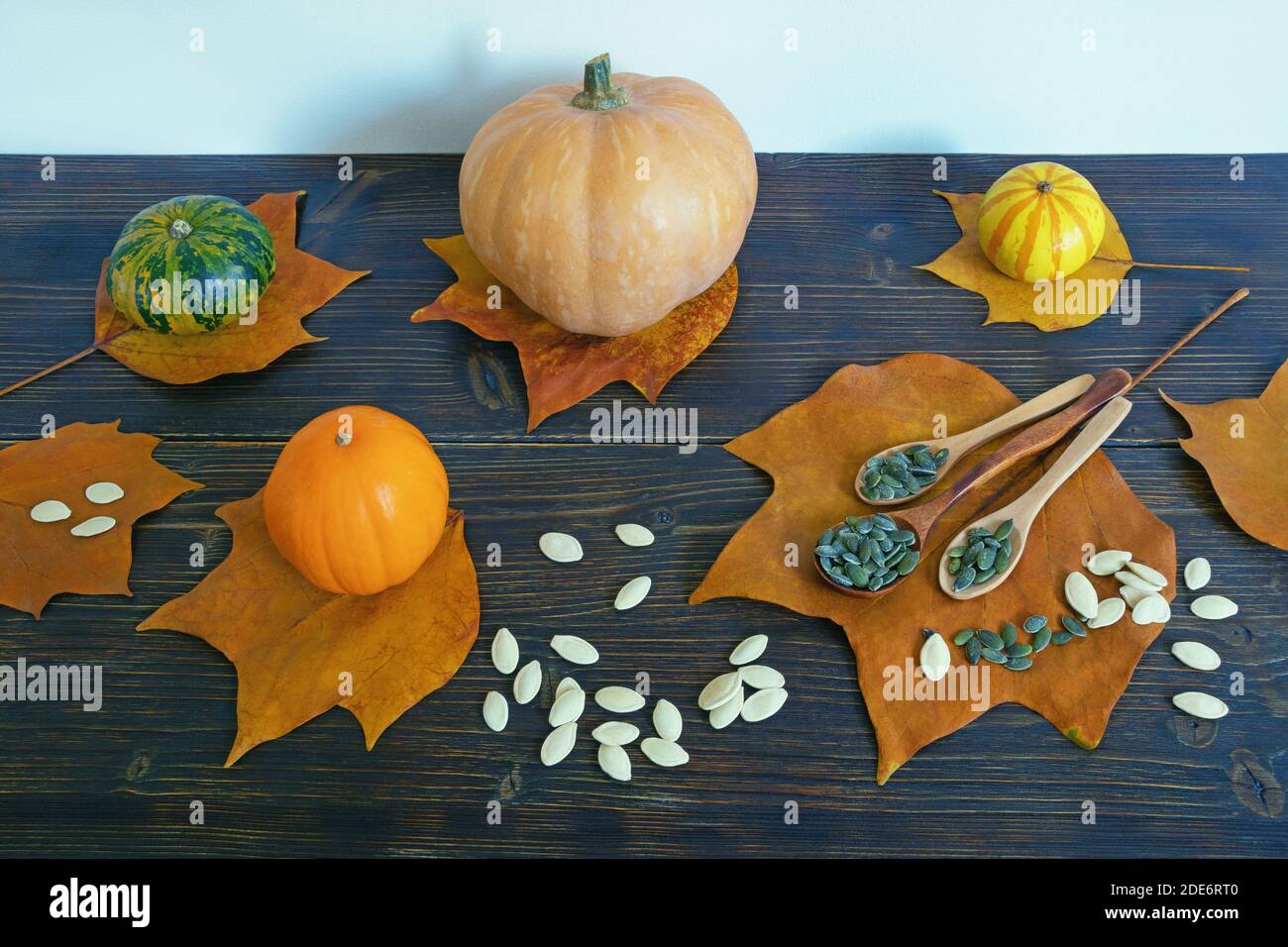 Herbst. Bunte Kürbisse, Herbstblätter und Kürbiskerne auf rustikalem Tisch. Speicherplatz kopieren Stockfoto