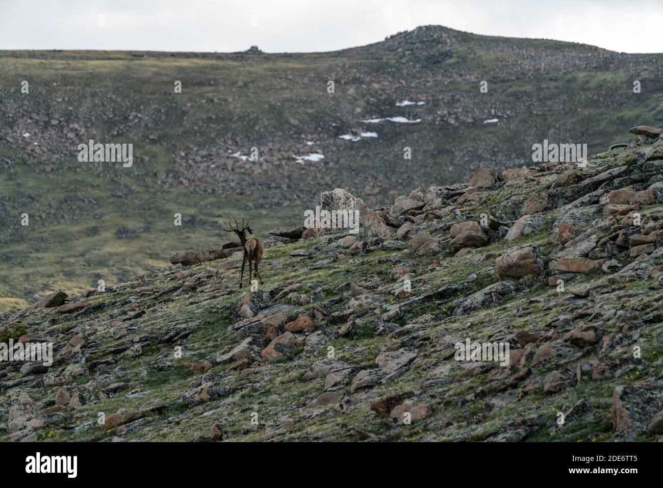 Von Tombstone Ridge, hoch im Rocky Mountain National Park. Stockfoto