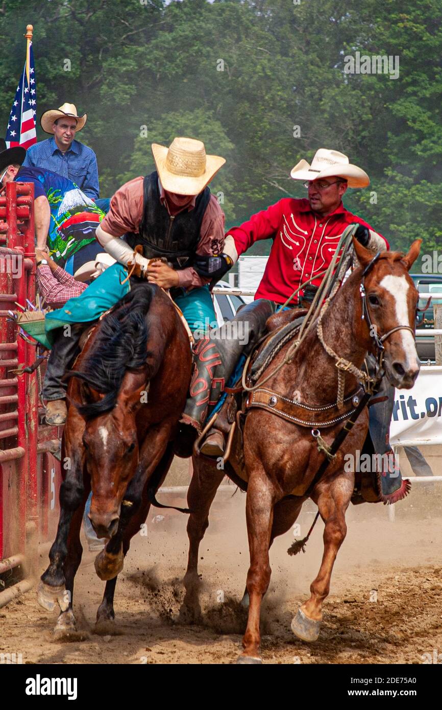 Bronc Rider Stockfoto