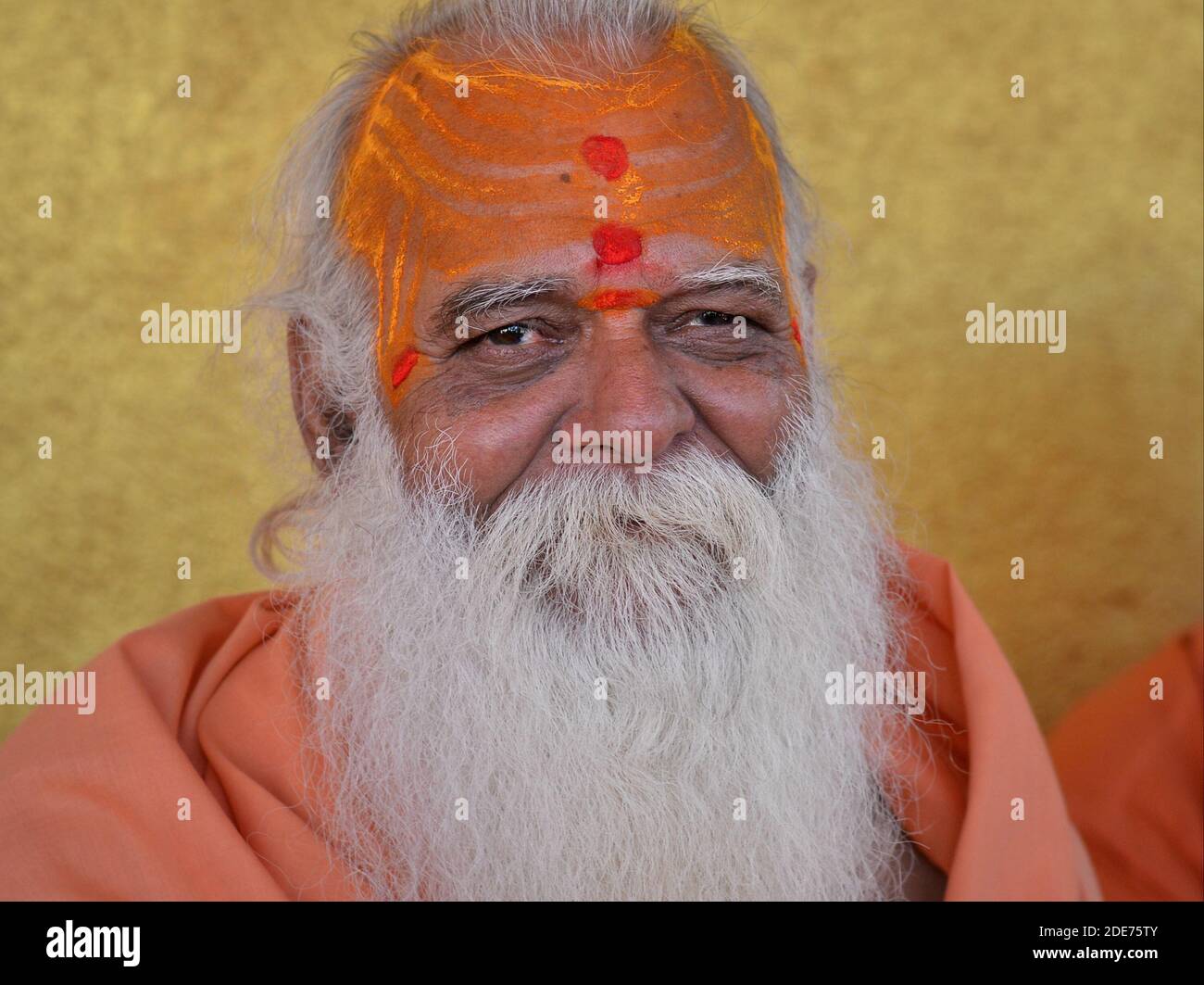 Sehr alter indischer Hindu-Heiliger (Sadhu, Guru, baba) mit einem dicken weißen Bart und gelber Sandelholzpaste auf seiner hohen Stirn stellt sich für die Kamera. Stockfoto