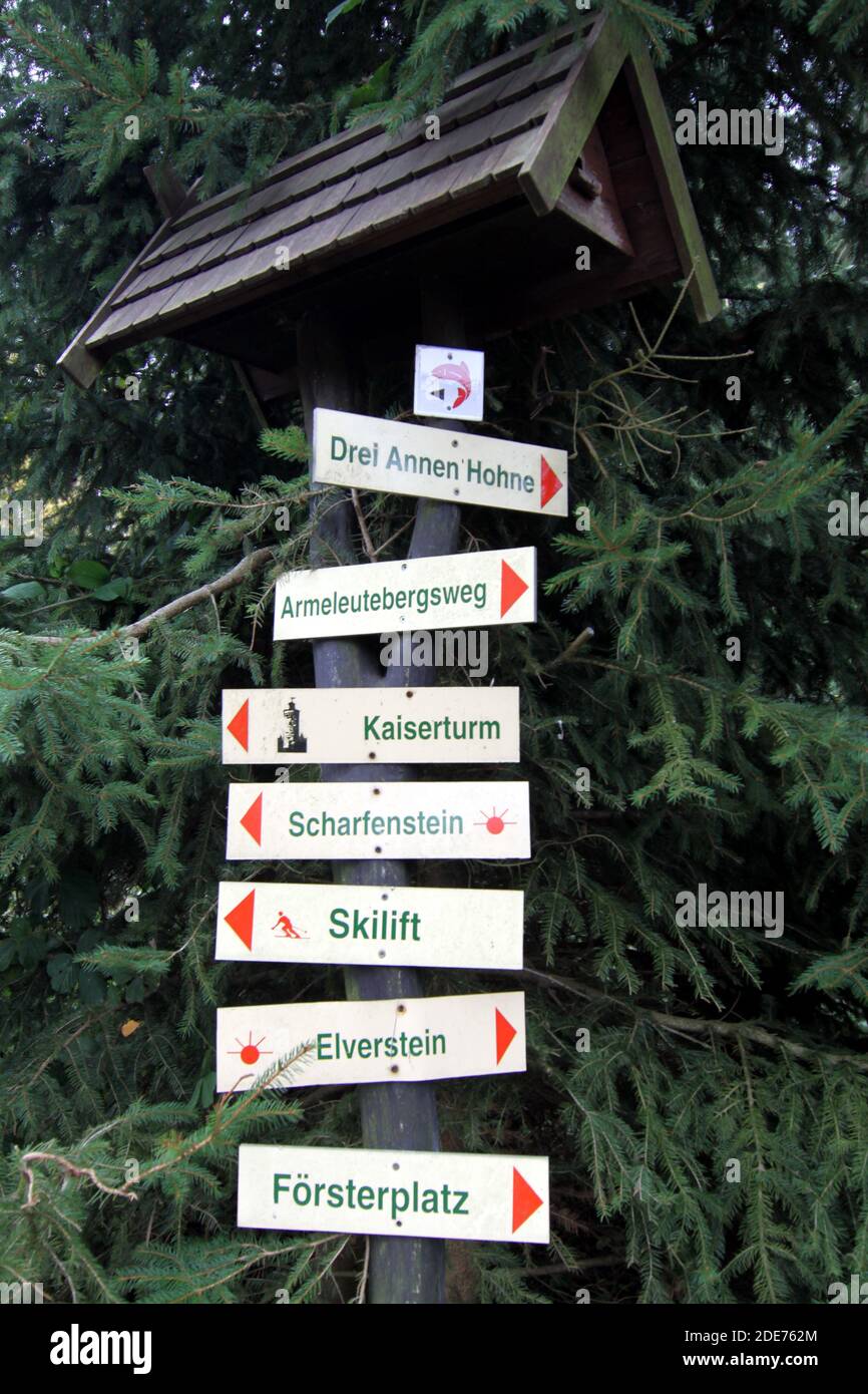 Markierung im Harz, Wernigerode, Sachsen-Anhalt, Deutschland Stockfoto