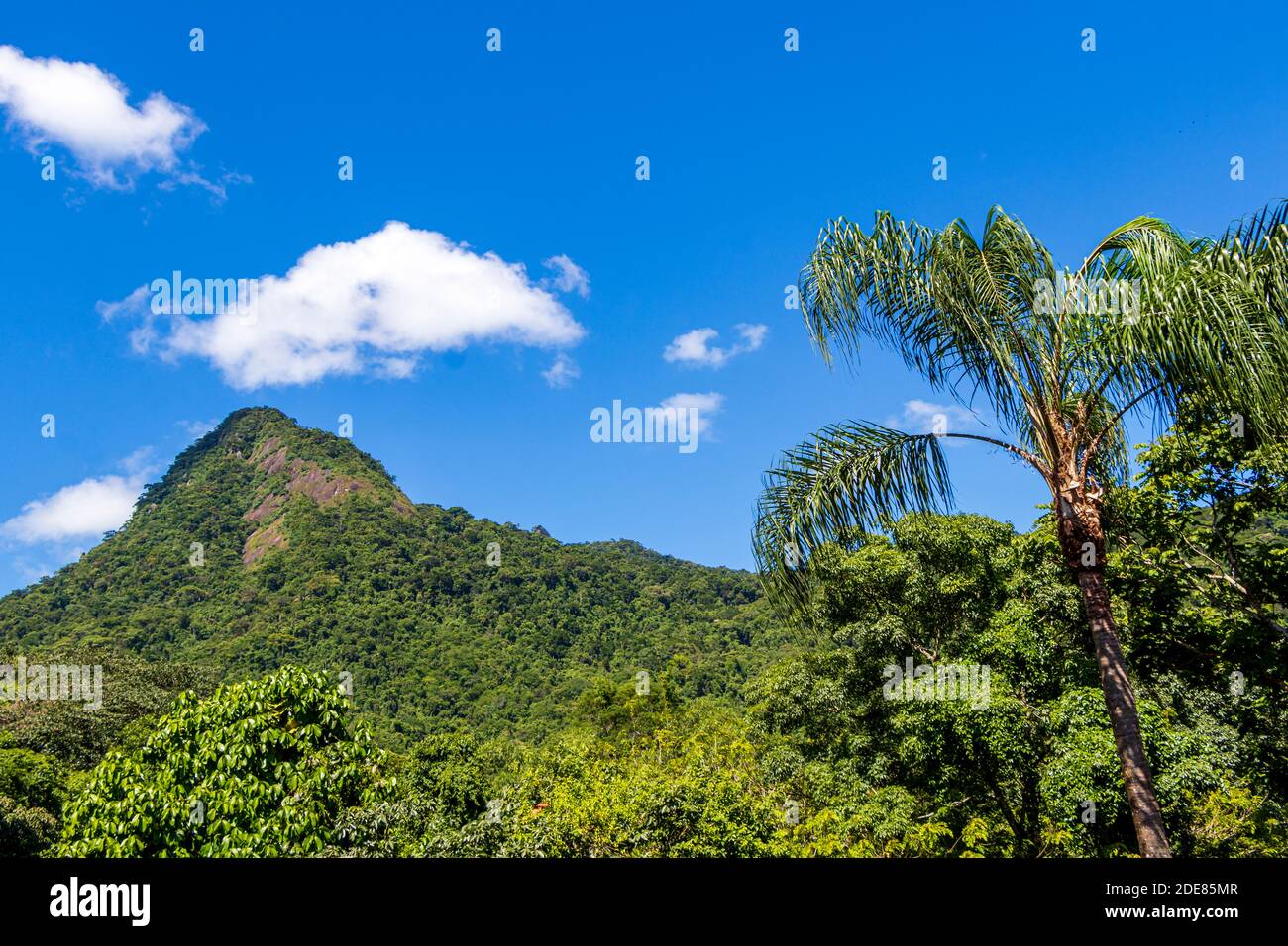 Abraão Berg Pico do Papagaio mit Wolken. Ilha Grande, Angra dos Reis, Rio de Janeiro, Brasilien. Stockfoto