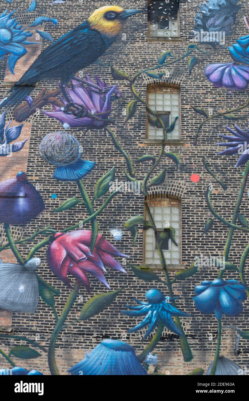 Vogel Von Chicago Stockfotos Und Bilder Kaufen Alamy