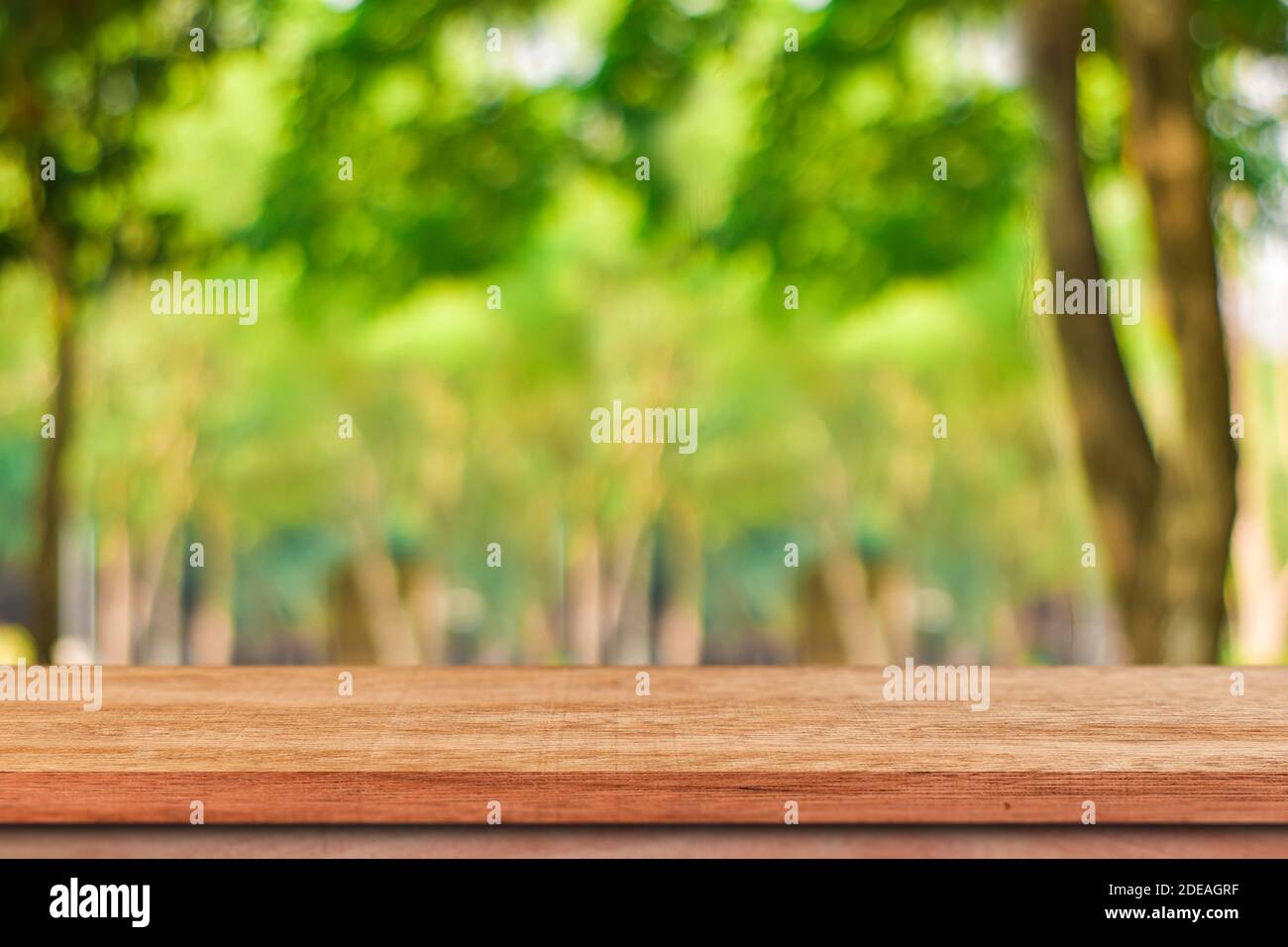Leerer Holztisch für Produktanzeige über verschwommenem grünen Baumgarten. Verschwommen von Natur im Freien mit Bokeh hellen Hintergrund. Stockfoto