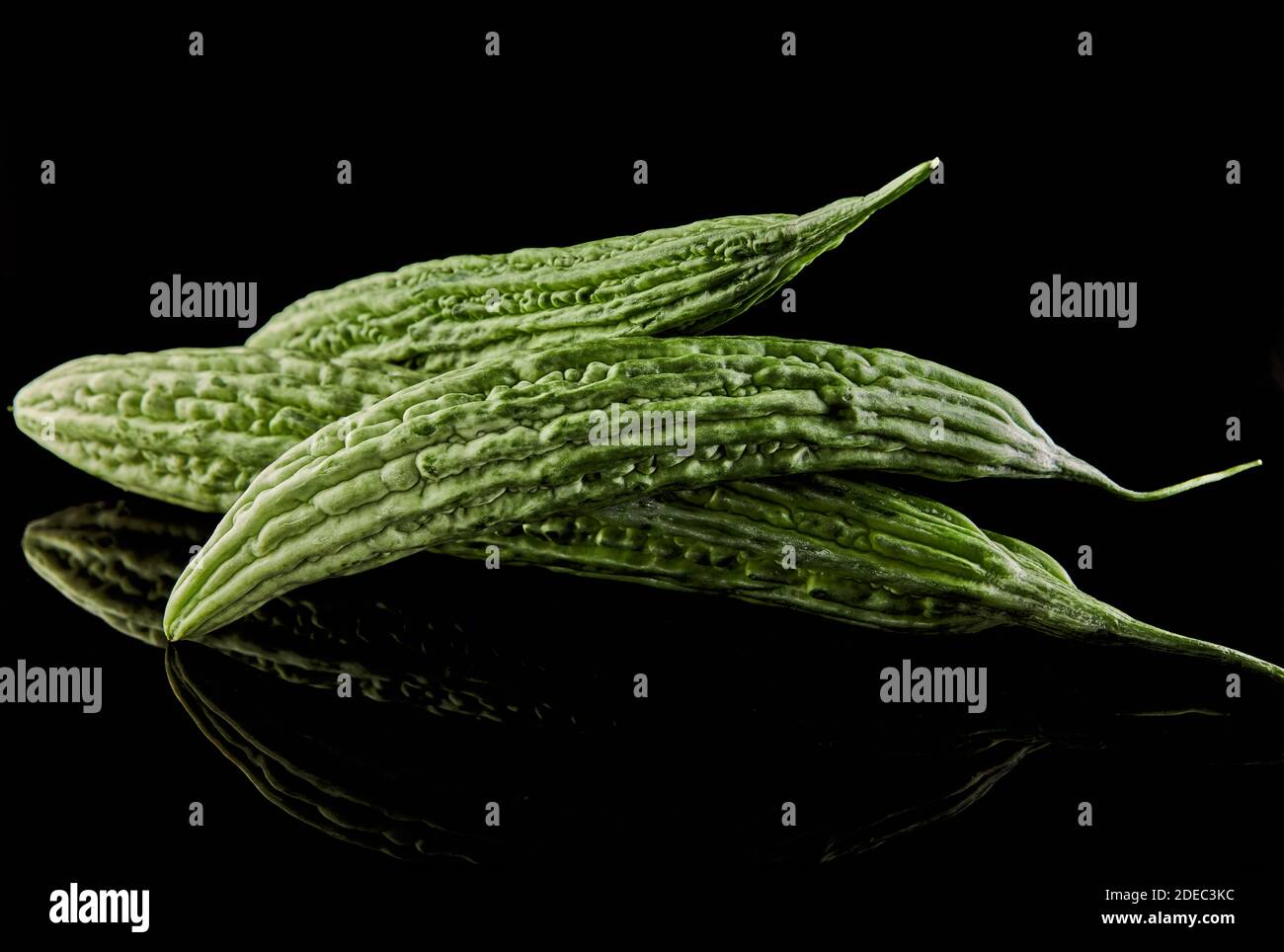 Frische bittere Melonen isoliert auf schwarzem Hintergrund mit Reflexion Stockfoto