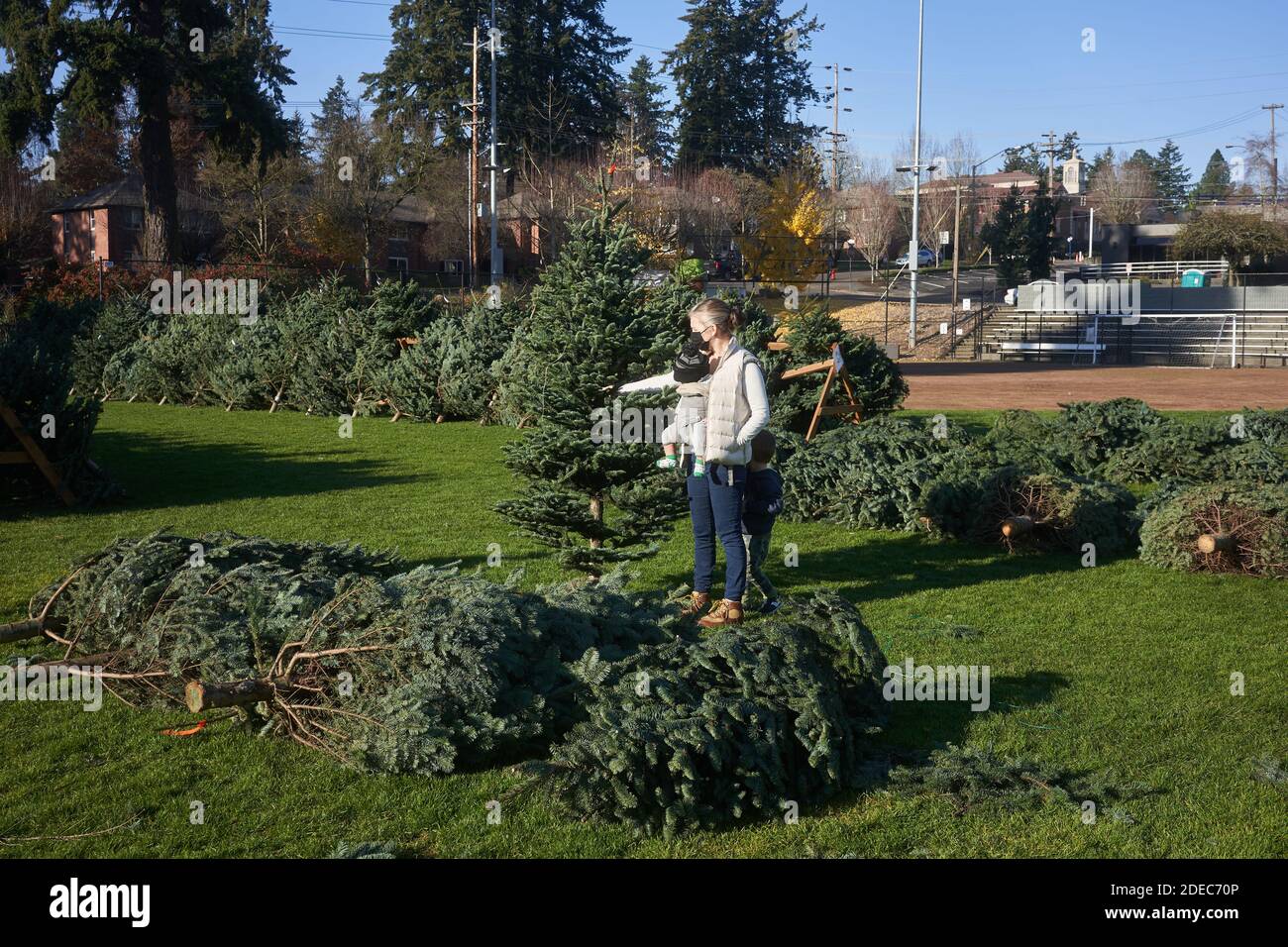 Eine maskierte Mutter wählt einen frischen Weihnachtsbaum am 29. November 2020 auf einem Outdoor-Markt in Lake Oswego, Oregon, inmitten der Coronavirus-Pandemie. Stockfoto