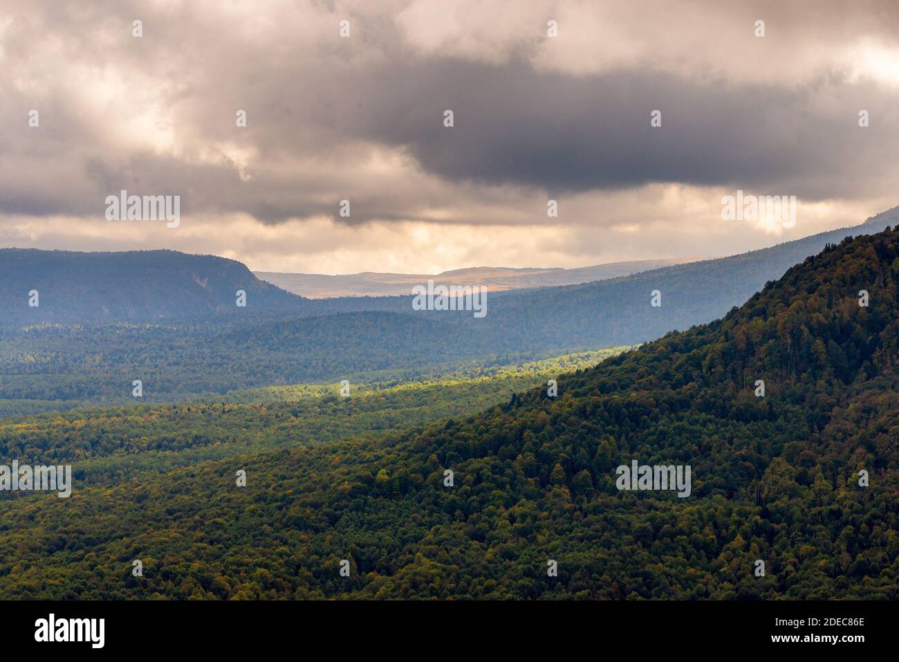 Panoramablick über die von Wald bedeckten Berge. Stockfoto
