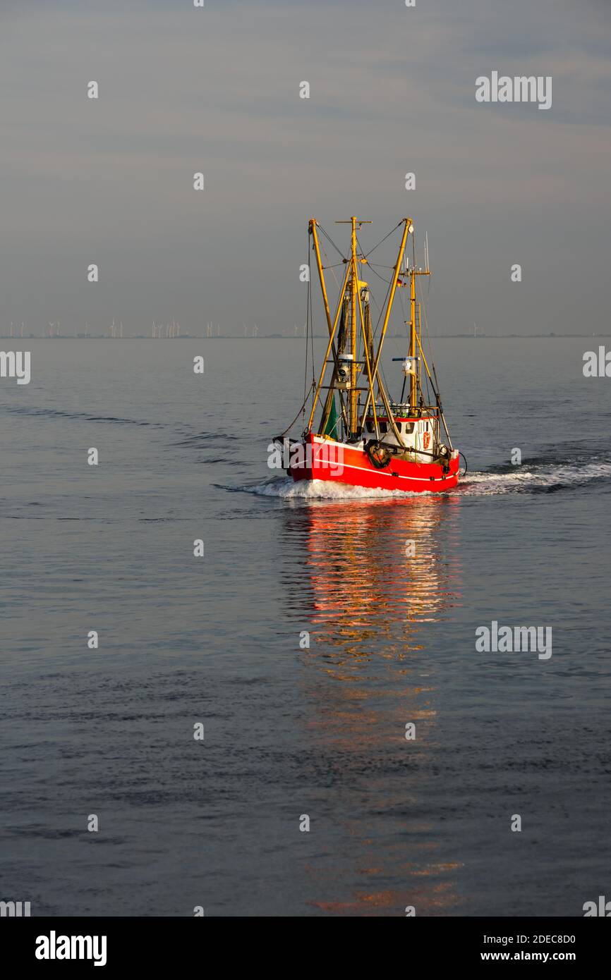 Fischtrawler an der Nordsee an der Küste von Büsum, Schleswig-Holstein, Deutschland Stockfoto