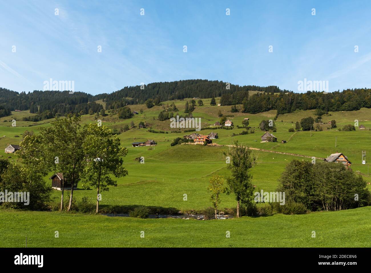 Landschaft in Toggenburg mit grünen Weiden und Bauernhäusern, Kanton St. Gallen, Schweiz Stockfoto