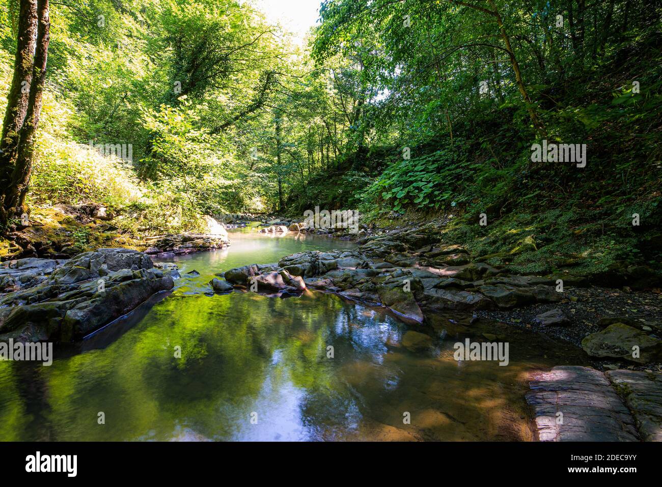 Kleiner Fluss oder Bach im tiefen Wald. Stockfoto