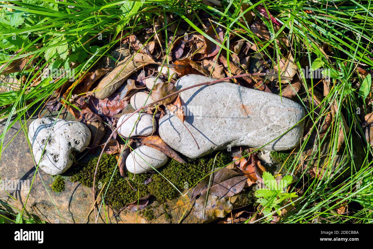 Allein Spur Fußabdruck der Füße aus einem Kieselstein Stein auf Gras Textur Hintergrund Stockfoto