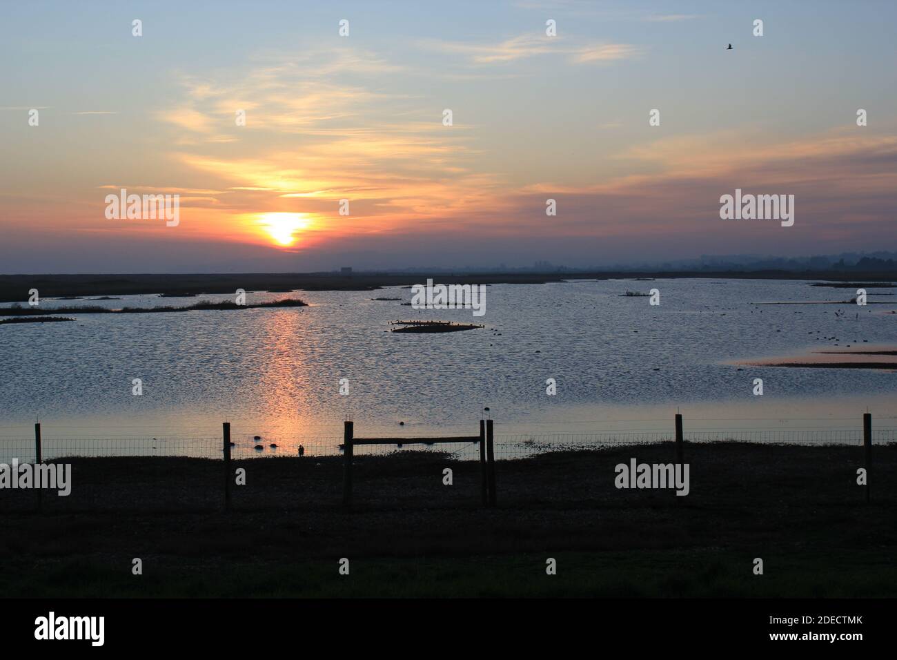 Rye Harbour, Nature Reserve, East Sussex UK - 28.11.2022: Rye Harbour Landscape View im Low-Tide-Harbour-Naturschutzgebiet Feuchtgebiete sind bei Vögeln beliebt Stockfoto