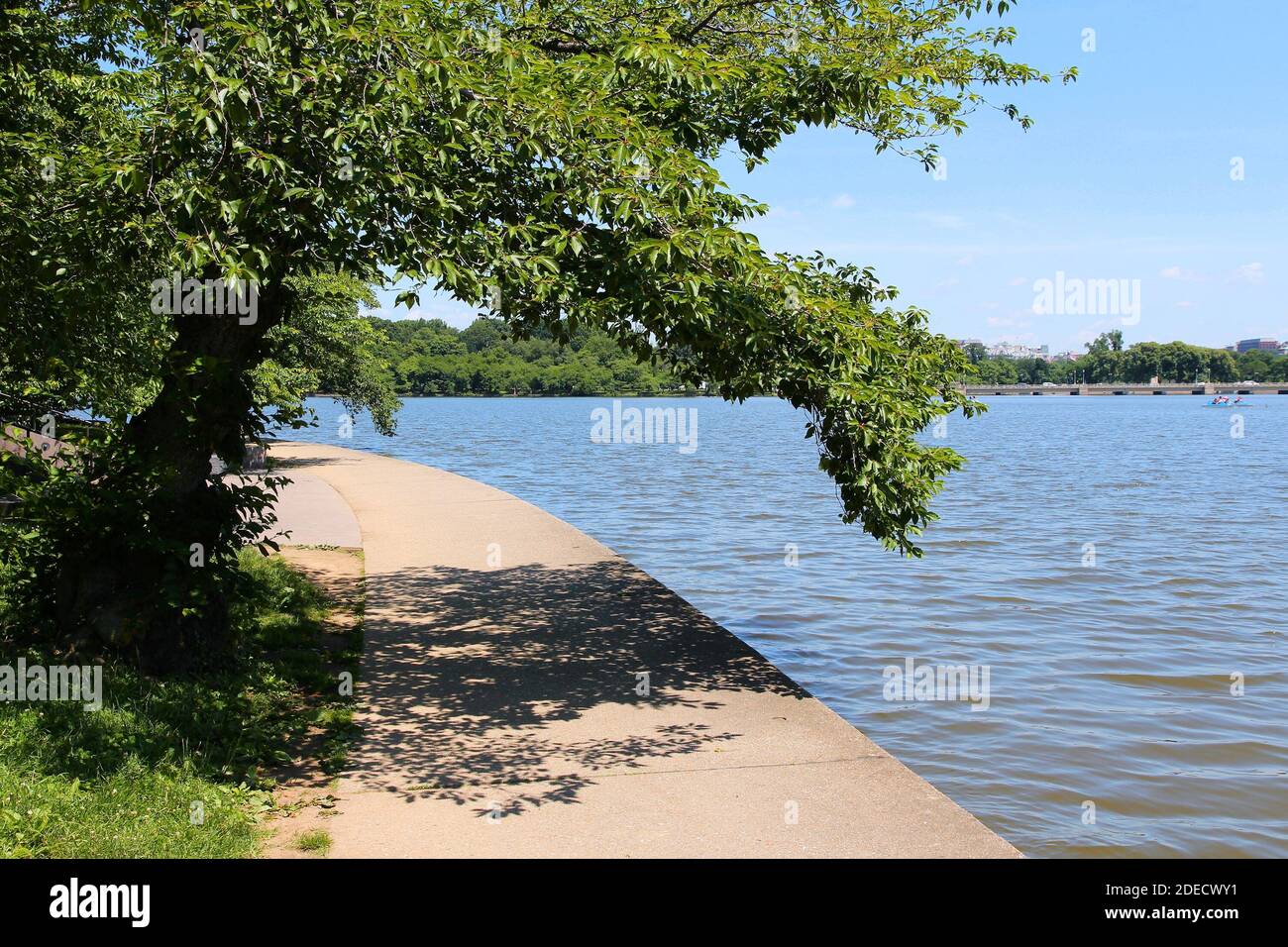 Washington D.C. - West Potomac Park Pfad entlang Tidal Basin. Stockfoto
