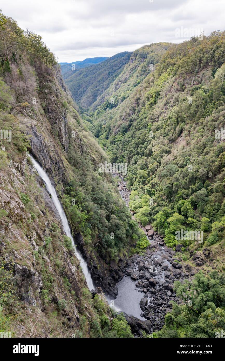 Der mit 200 m geschätzte Schachtelhalm-Wasserfall bei Ellenborough Falls ist der höchste Single Drop Wasserfall in New South Wales, Australien Stockfoto