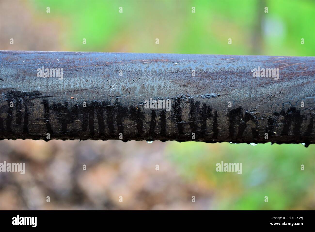 Nahaufnahme eines hölzernen schwarzen Weidezauns gegen eine verschwommene Hintergrund Stockfoto