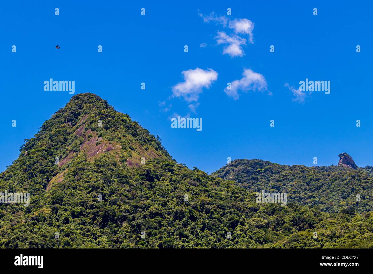 Abraão Berg Pico do Papagaio mit Wolken. Ilha Grande, Angra dos Reis, Rio de Janeiro, Brasilien. Stockfoto