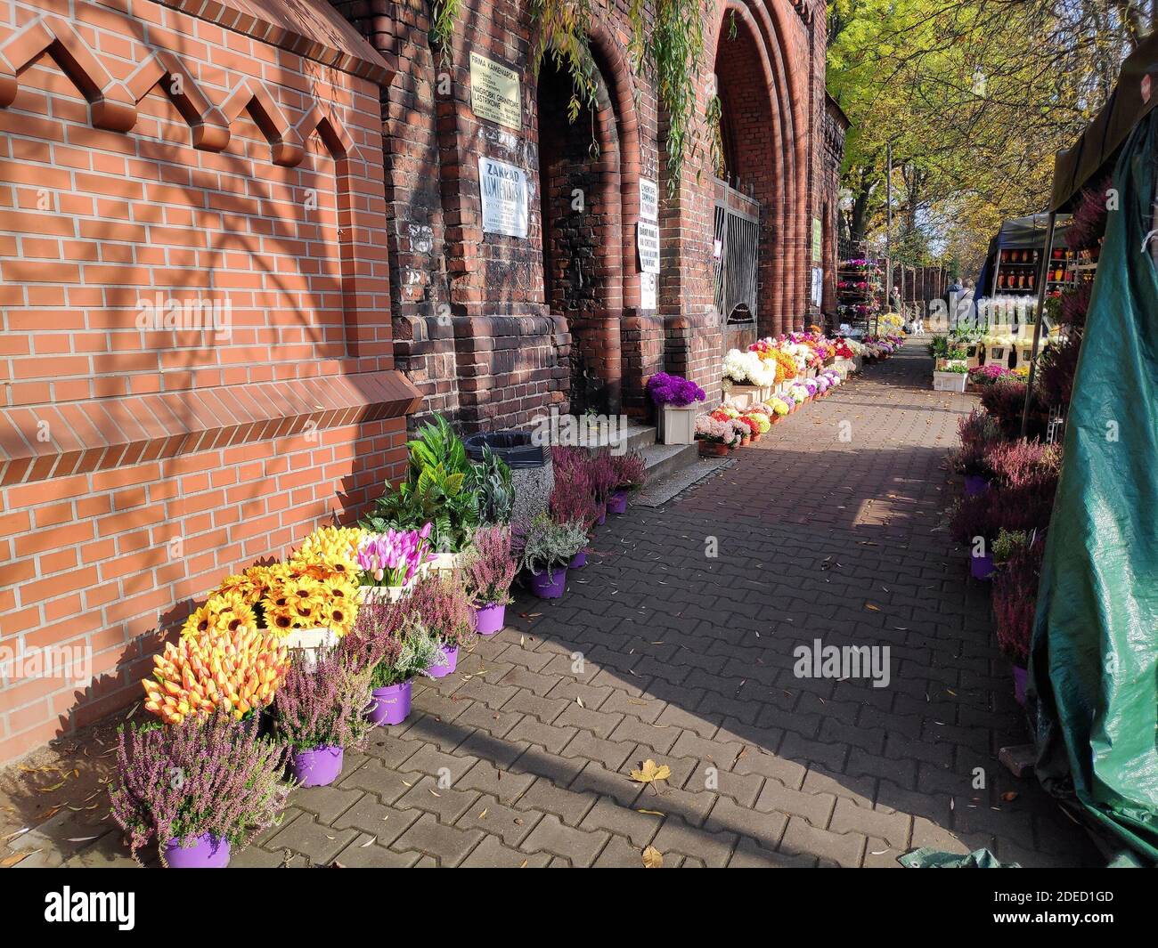 BYTOM, POLEN - 25. OKTOBER 2020: Blumen zum Verkauf auf einem Friedhof in der Woche vor Allerheiligen (Wszystkich Swietych) in Polen. Stockfoto