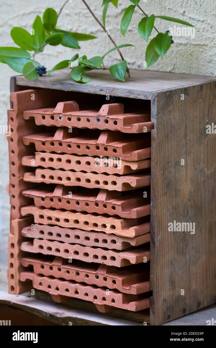 Extrudierte ineinandergreifende Dachziegel in einer Box als Wildbienennisthilfe, Deutschland Stockfoto