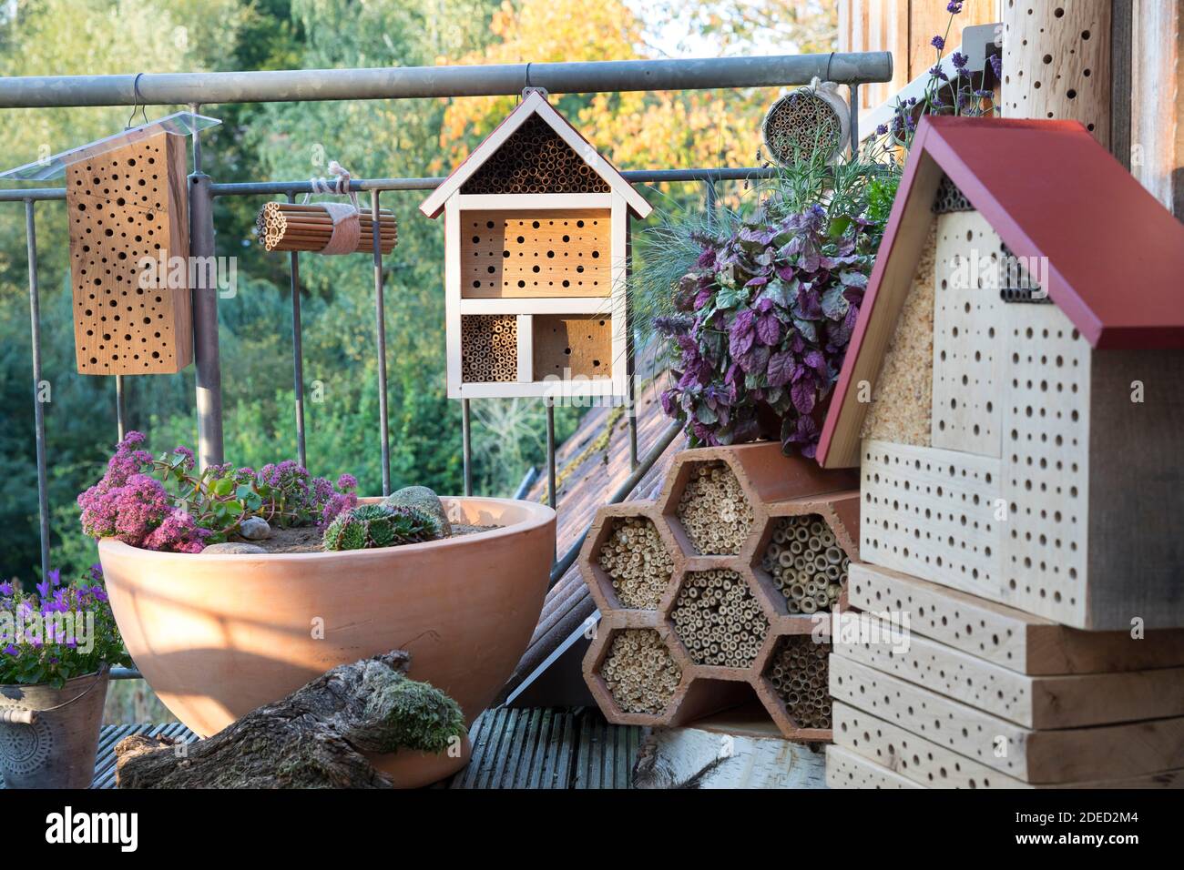 Nisthilfen für Wildbienen auf einem Balkon, Hartholz mit verschiedenen Bohrlöchern, Deutschland Stockfoto
