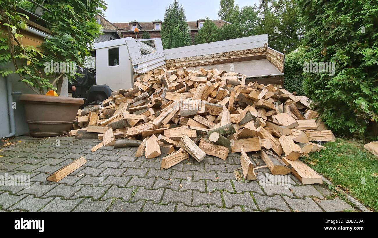 Lieferung von Holzstämmen in einem Garten, Deutschland, Nordrhein-Westfalen Stockfoto