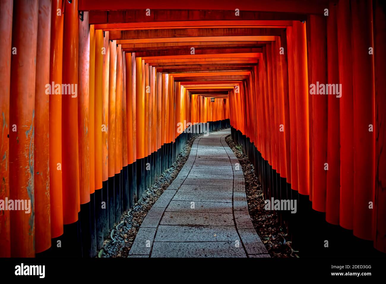 Senbon Torii Pfad Fushimi Inari Taisha Tempel Patron Der Landwirtschaft Und Des Geschafts Errichtet In Der Heian Periode Kyoto Japan Stockfotografie Alamy Senbon Torii Pfad Fushimi Inari Taisha Tempel Patron Der Landwirtschaft Und Des Geschafts Errichtet In Der Heian Periode Kyoto Japan Stockfotografie Alamy