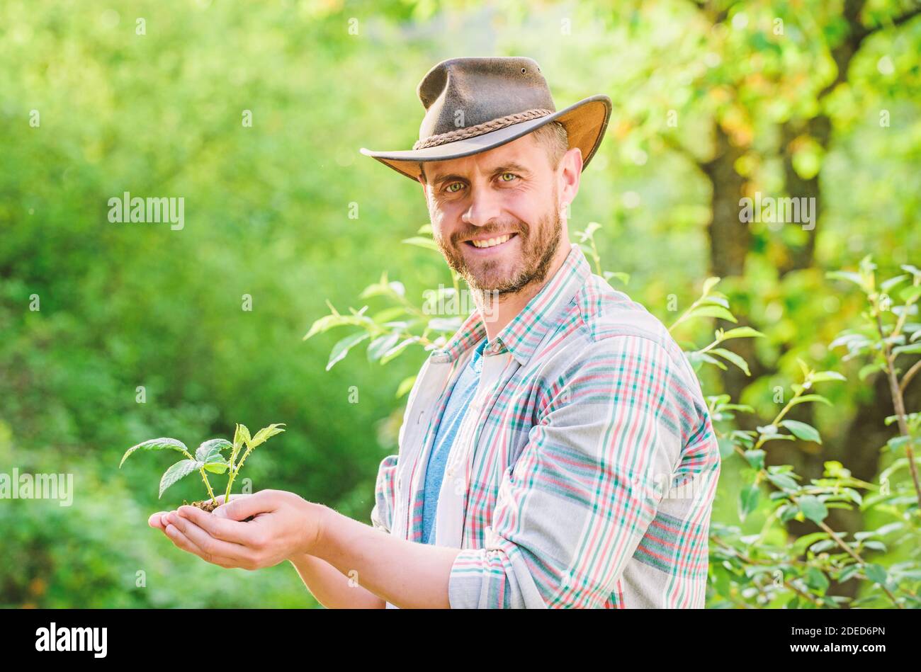 Happy Earth Day. Eco leben. Landwirtschaft und Landwirtschaft auf den Anbau. Gartenarbeit. muskulös Ranch Mann in Cowboyhut pflege Pflanzen. erfolgreicher Farmer Halten Sie die Pflanze in den Boden in den Händen. Eco farm Worker. Tag der Erde. Stockfoto
