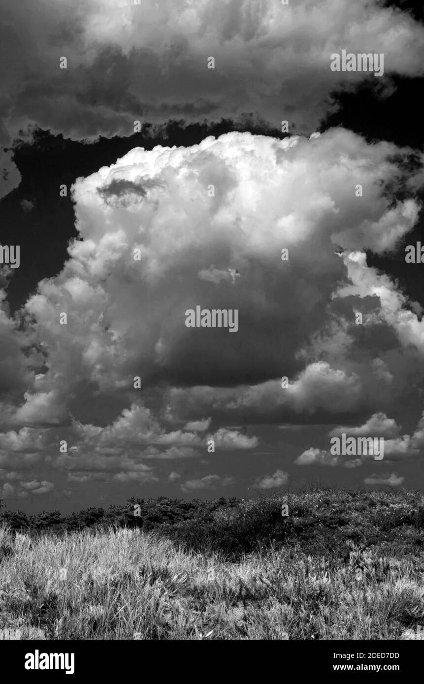 Niedrige Wolke über Seegras Schwarz und Weiß Stockfoto