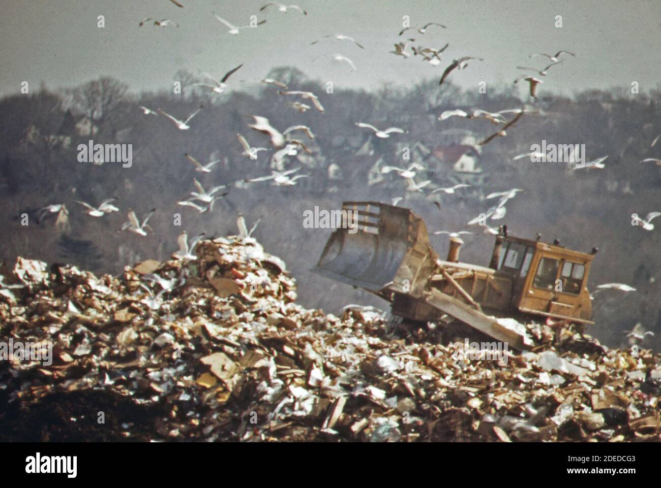 1970er-Jahre Foto - (1973) - Hackensack Dump ist Futterplatz für Möwen. Mit der Zeit wird diese Deponie Erholung für die Bewohner von Bergen County bieten, die sie jetzt als Mülldeponie dient Stockfoto