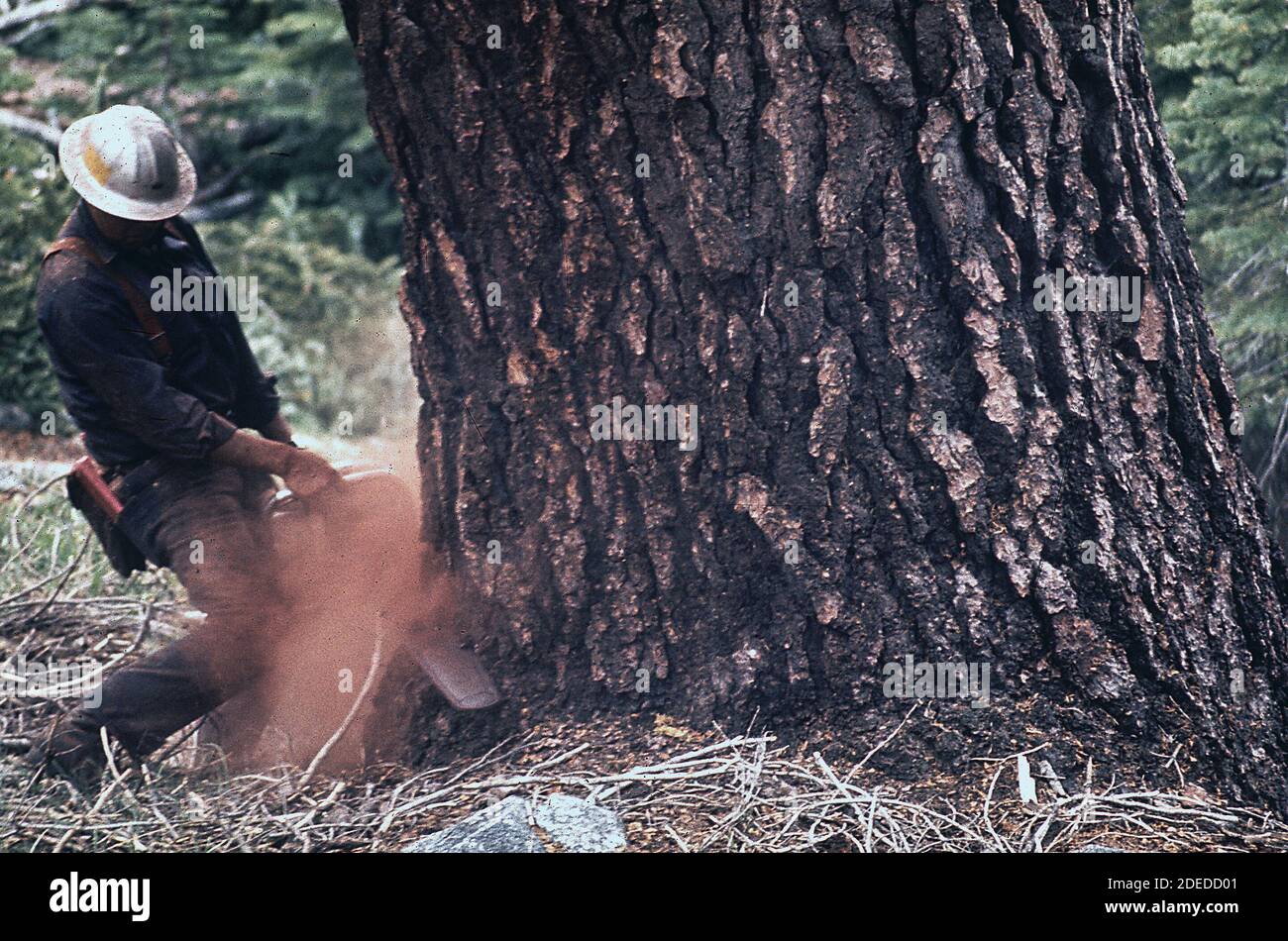 1970er Fotos (1972) - 70er Jahre Zeitlogger Stockfoto