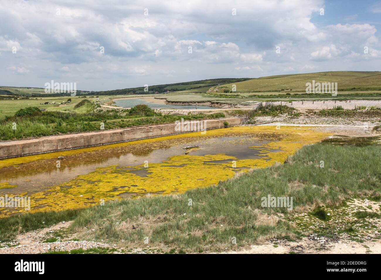 Sussex's einzige unerschlossenen Flussmündung enthält die faszinierendsten Landschaften der Südküste, geschützt durch die NT, Country Park und SSSI Systeme. Stockfoto