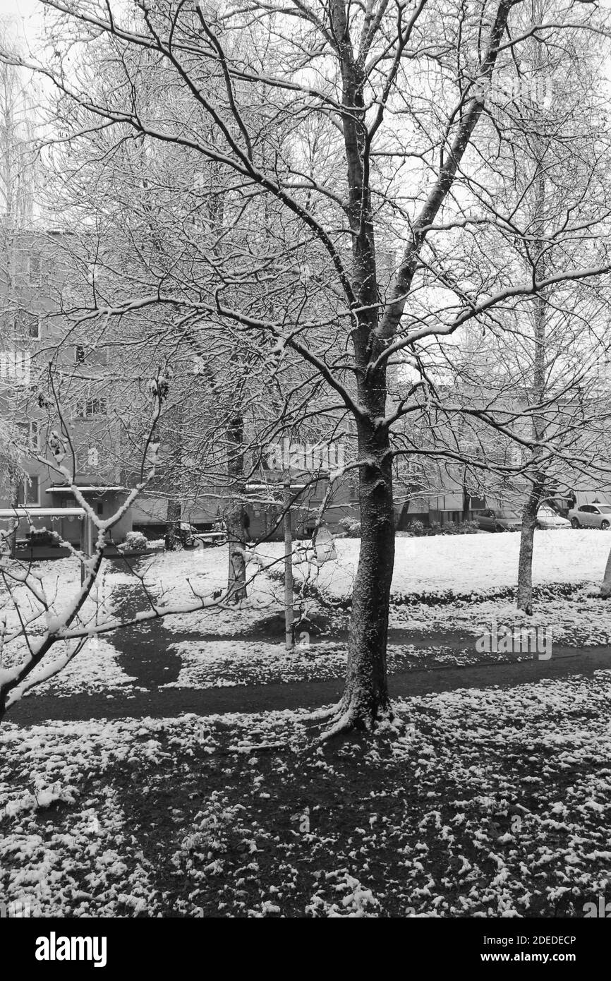 Weiße Schneeflocke bedeckte leere Stadtstraße in den ersten Wintertagen Stockfoto