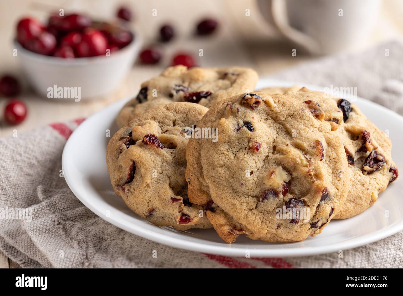 Cranberry Walnusskekse auf einem Teller mit Schale Cranberries Im Hintergrund Stockfoto