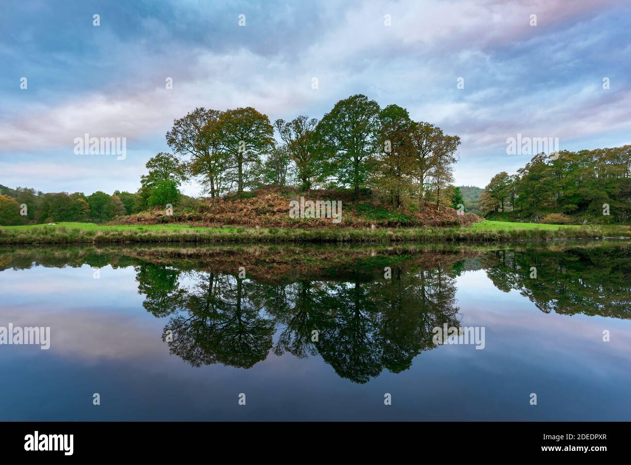 Englische Landschaft, Spiegelungen im Elterwater See bei Skelwith Bridge im Langdale Valley im English Lake District Stockfoto