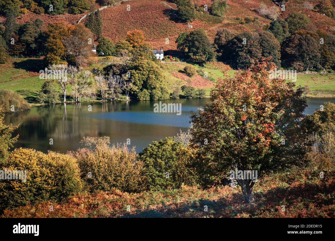 Loughrigg Tarn bei Skelwith Bridge im Lake District Stockfoto