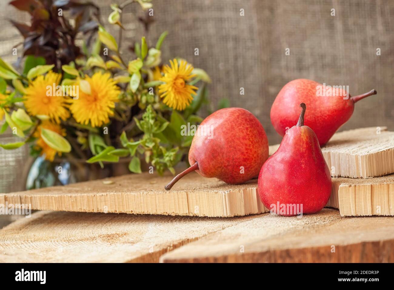 Leckere reife Bio-rote Birnen auf natürlichem Holzhintergrund und gelbe Blüten, selektiver Fokus. Vegetarische, vegane, gesunde Ernährung Essen und Ernte concep Stockfoto