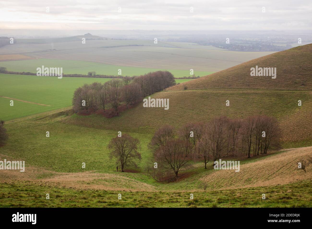Neblig / neblig November Morgen auf Knap Hill mit Blick auf das Vale of Pewsey, Wiltshire, England, Großbritannien Stockfoto