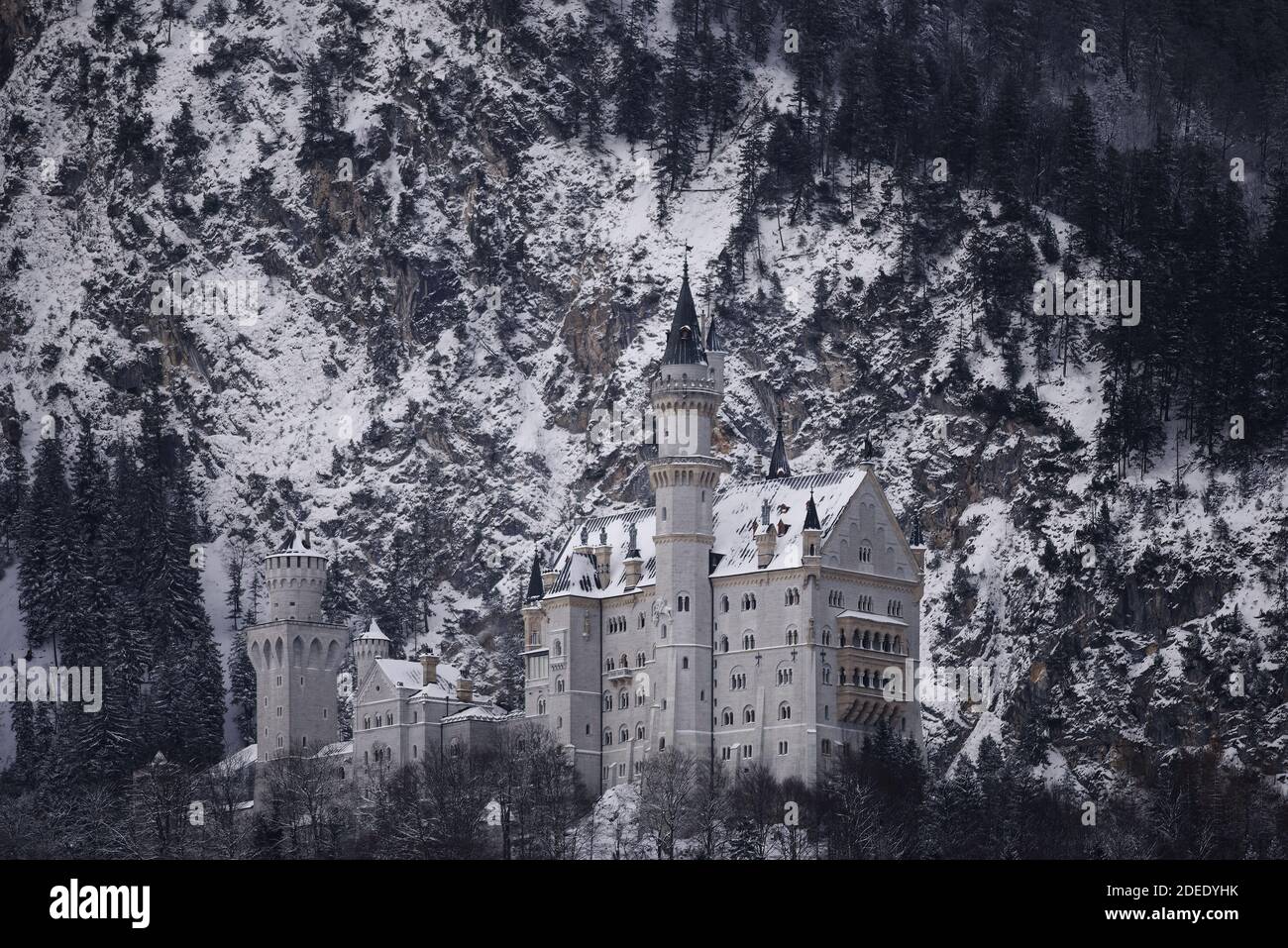Schloss Neuschwanstein im Winter mit Schnee Stockfoto