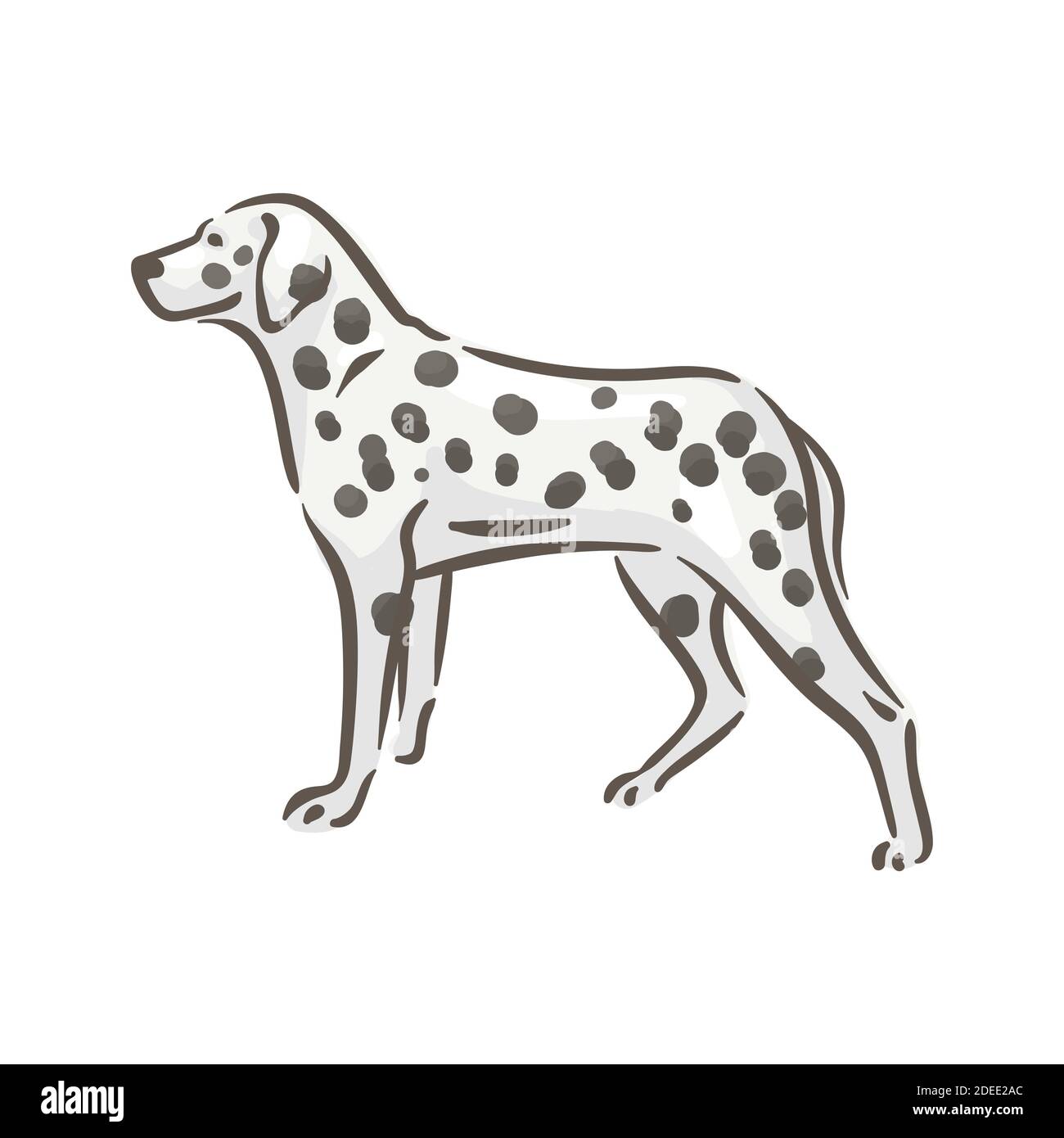 Niedlichen Hund dalmatiner Rasse Stammbaum Vektor Illustration Stock Vektor