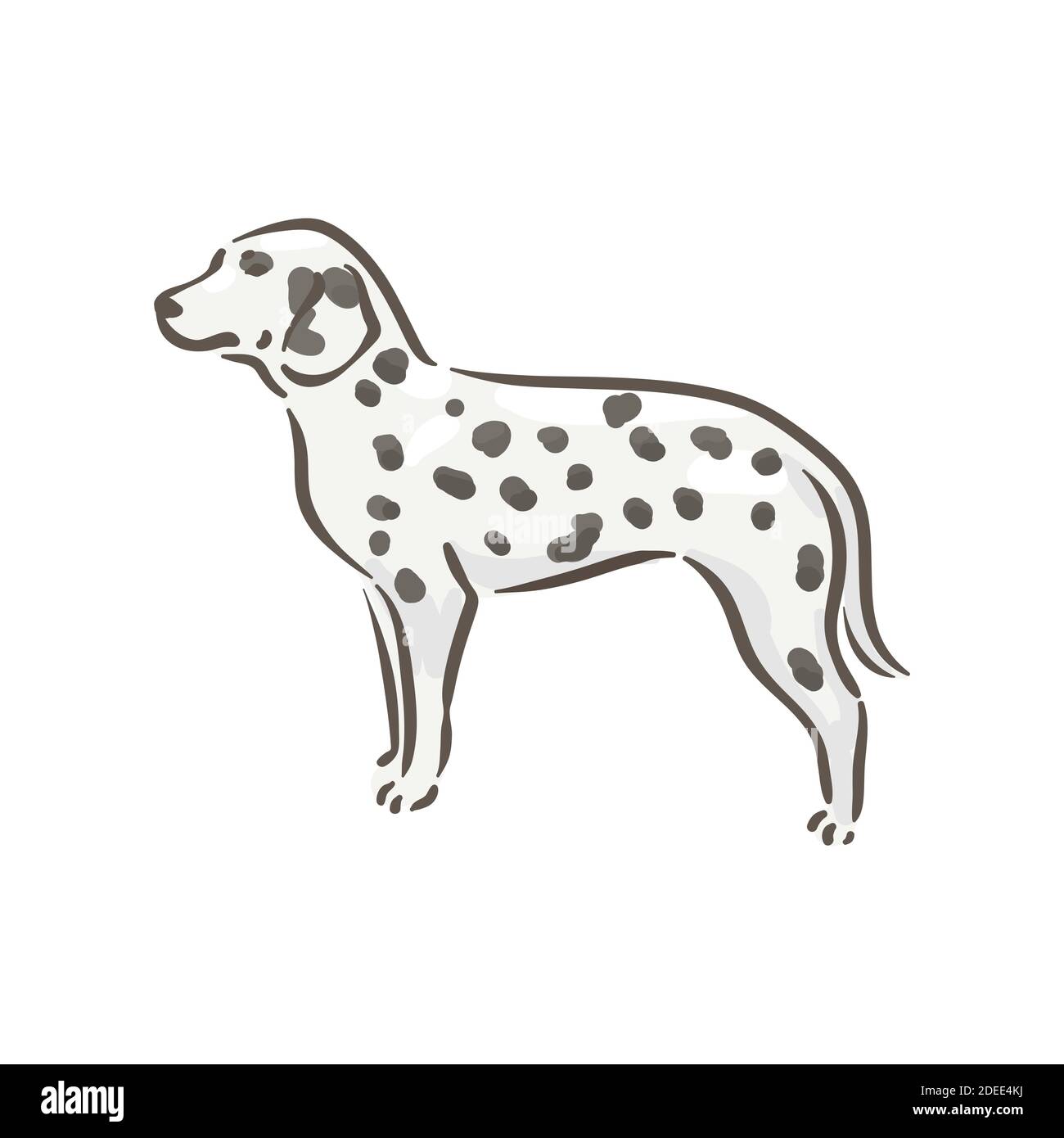 Niedlichen Hund dalmatiner Rasse Stammbaum Vektor Illustration Stock Vektor