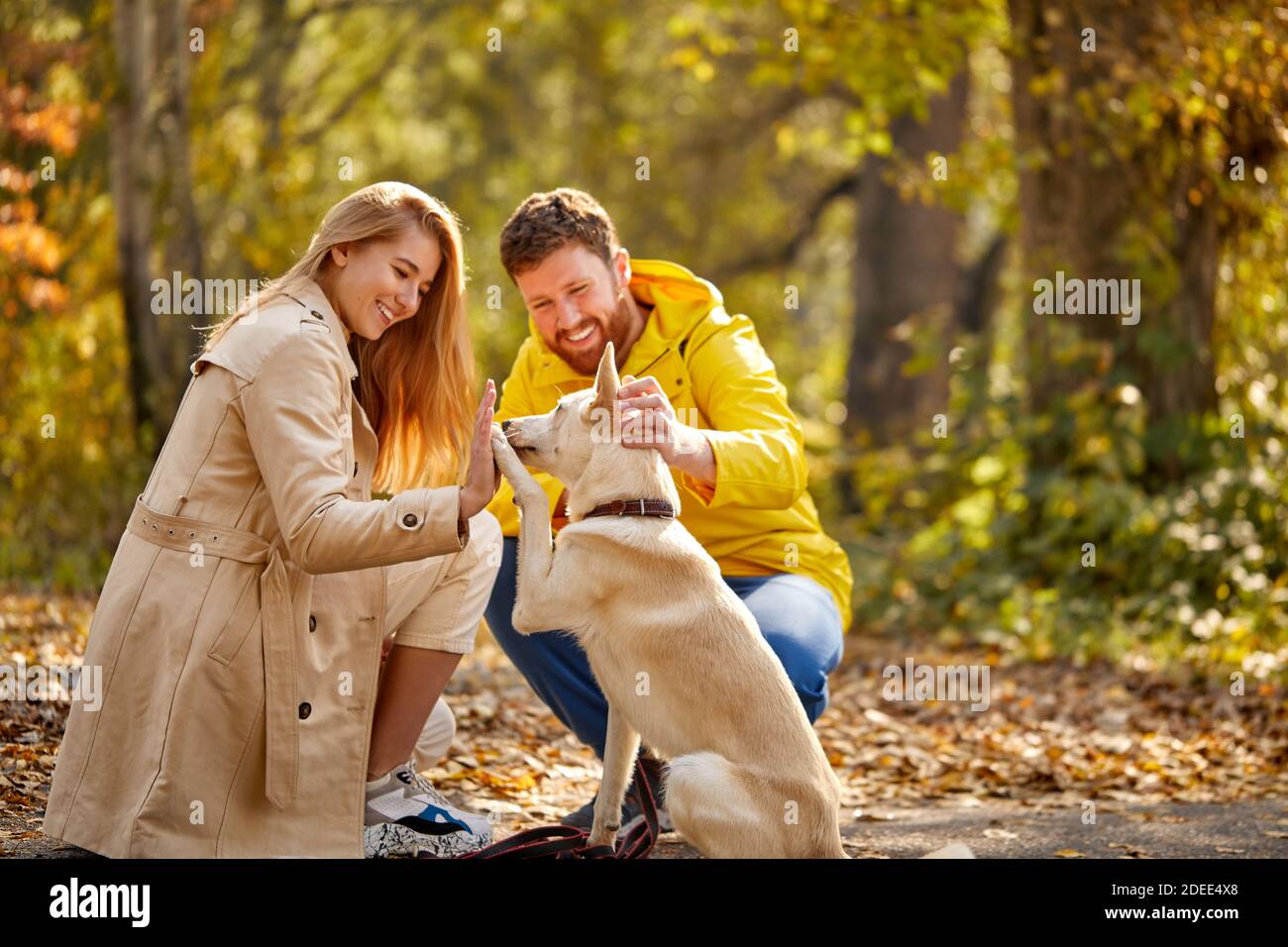Paar genießen Sie Zeit mit Hund im Herbstwald, glücklich Mann und Frau sind Freunde mit netten Hund, im Herbst im Freien Stockfoto Paar genießen Sie Zeit mit Hund im Herbstwald, glücklich Mann und Frau sind Freunde mit netten Hund, im Herbst im Freien Stockfoto